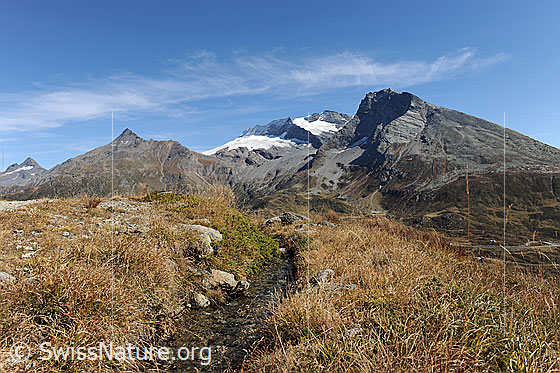 Foto: Bisse (Suone) in Walliser Berglandschaft.