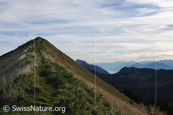 Foto: Gipfelrücken am Schimbrig. Der Bergweg führt als schmaler Pfad über den Grat. Der Himmel ist mit Schleierwolken überzogen.
