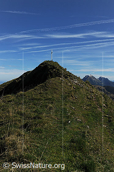 Foto: Gipfel des Schimbrig. Schleierwolken zieren den blauen Himmel.