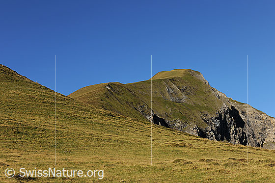 Foto: Sulegg, Berner Oberland. Blick über herbstliche Alpweiden und Bergrücken zur Sulegg.