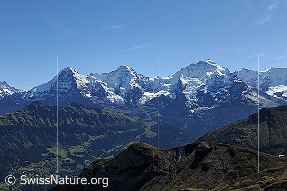 Foto: Eiger, Mönch und Jungfrau von der Sulegg. Dem Dreigestirn vorgelagert, ist der Tschuggen zu sehen.