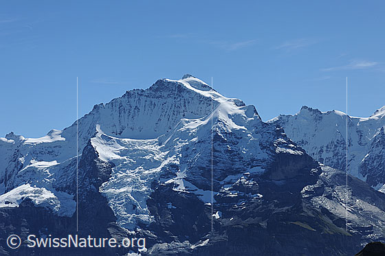 Foto: Jungfrau, Silberhorn und Gletscherhorn.
Gletscher: Guggigletscher, Giesengletscher und Silberhorngletscher.