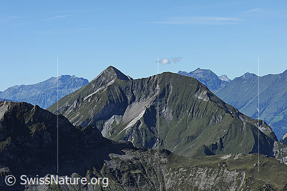 Foto: Dreispitz. 
Blick von der Sulegg zum Dreispitz im Herbst.