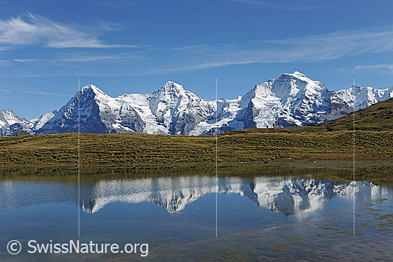 Foto: Eiger, Mönch, Jungfrau mit Spiegelung in Bergsee. Der Himmel ist blau mit wenigen Schleierwolken.