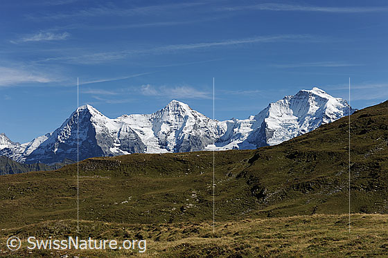 Foto: Dreigestirn Eiger, Mönch und Jungfrau im Herbst.
Vordergrund: Alpweide.
