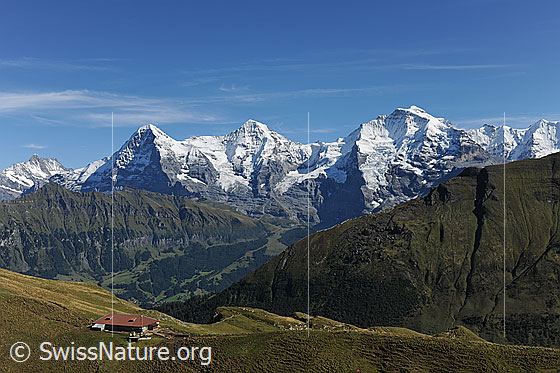 Foto: Dreigestirn Eiger, Mönch Jungfrau.
Vordergrund: Alphütte auf Weidegebiet.
