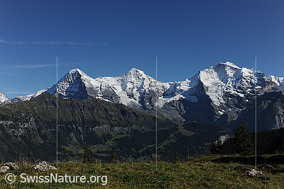 Foto: Dreigestirn Eiger, Mönch und Jungfrau mit Tschuggen im Vordergrund.