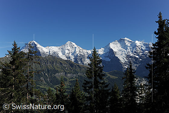 Foto: Dreigestirn Eiger, Mönch, Jungfrau.