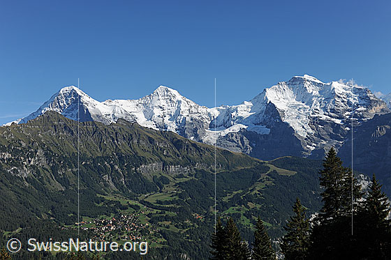 Foto: Tschuggen vor Eiger, Mönch, Jungfrau. 
Links unten im Bild ist Wengen zu sehen.