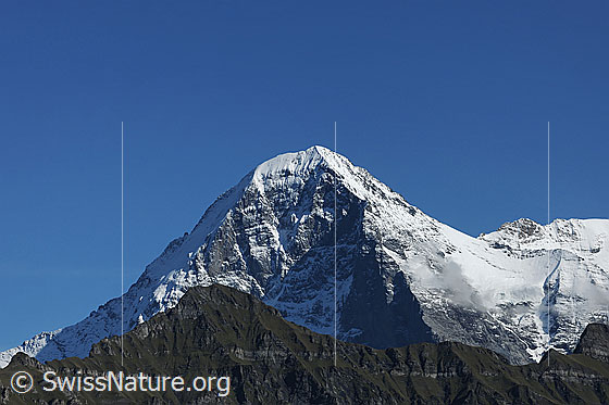 Foto: Eiger mit Blick in die Nordwand.
Davor der Tschuggen.