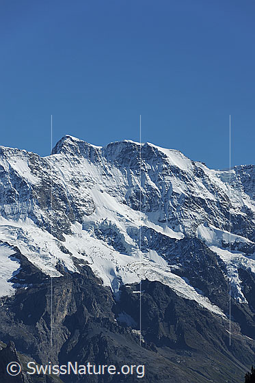Foto: Mittaghorn (Jungfrauregion).
Blick in die Nordwand mit Breitlouwenengletscher.