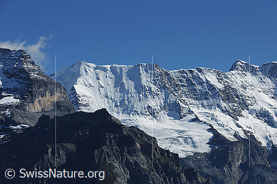 Foto: Schwarz Mönch, Ebnefluh und Mittaghorn.
Gletscher: Stuefesteiglescher und Breitlouwenengletscher