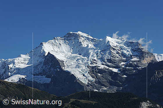 Foto: Jungfrau und Silberhorn.
Gletscher: Guggigletscher, Giesengletscher und Silberhorngletscher.