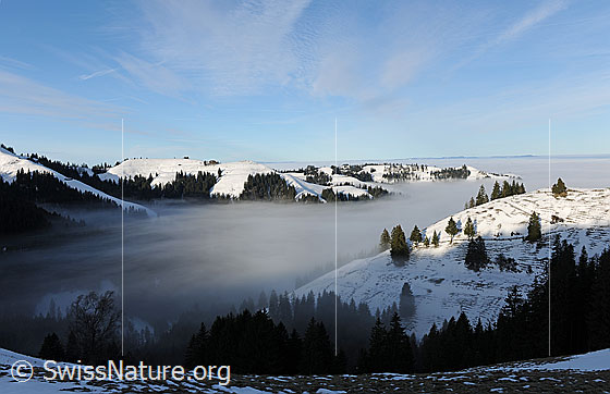 Foto: Nebelstimmung und Nebelmeer im Emmental. An der Nebelgrenze ziehen feine Nebelschleier in ein Tal hinein. In der Hügellandschaft liegt Schnee. Ein paar Schleierwolken zieren den hellblauen Himmel über der stimmungsvollen Winterlandschaft.