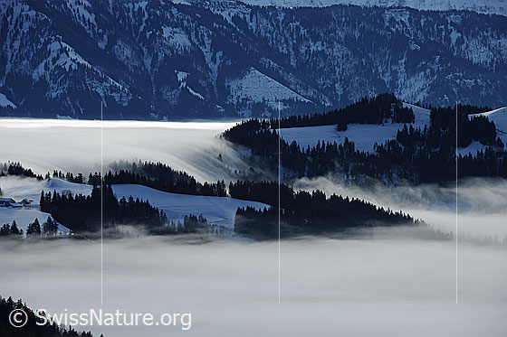 Foto: Stimmungsbild Nebelmeer. Die Hügellandschaft des Emmentals verschwindet im Nebel. Die Nebelgrenze gleicht einem Wasserfall, welcher sich über die Winterlandschaft ergiesst.