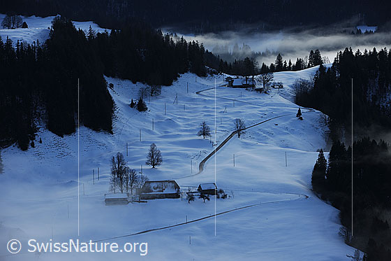 Foto: Abendstimmung im Emmental. Feine Nebelschwaden liegen über der schneebedeckten Hügellandschaft mit Bauernhöfen und Tannenwald.
