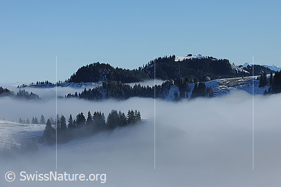 Foto: Nebelstimmung am Napf im Emmental.
Höher gelegene Hügel und Wälder des Emmentals ragen aus einem Nebelmeer. An der Nebelgrenze streifen Nebelschwaden durch Tannengruppen und über Kreten.