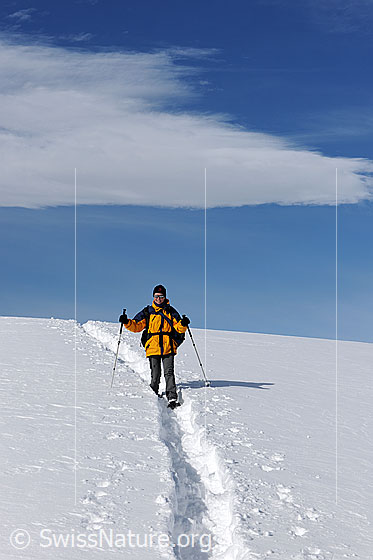 Foto: Outdoor Sport: Schneeschuhwandern. Schneeschuhwanderin im Abstieg in ausgeprägter Schneeschuhspur. Am blauen Himmel ist ein Wolkenfeld zu sehen.