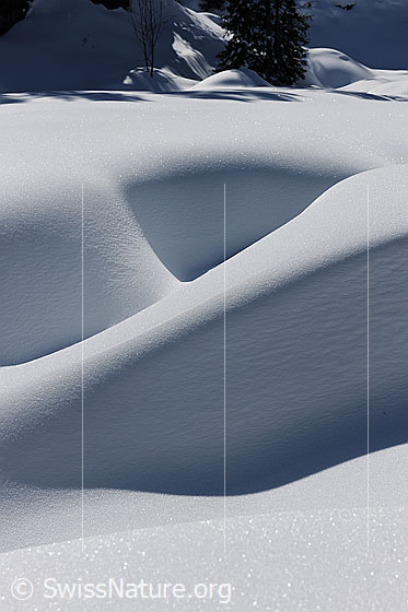 Foto: Formen und Schatten im Schnee. Kunstwerk der Natur im hellen Tageslicht, vom Wind aus lockerem Neuschnee zu einer Verwehung geformt. Durch die Schattenwürfe treten die interessanten Formen hervor.