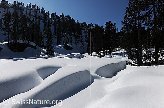 Foto: Schatten und Formen auf Waldlichtung. Unberührte Schneedecke und Schneeverwehungen  mit interessanten, kunstvollen Formen und Schattenwürfen.