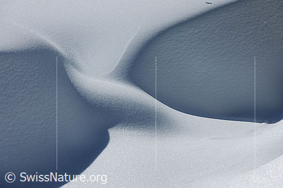 Foto: Kunstvoll geformte Schneeverwehung mit Licht und Schatten, feinen Strukturen und glitzernder Schneeoberfläche.