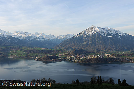 Foto: Niesen und Thunersee.