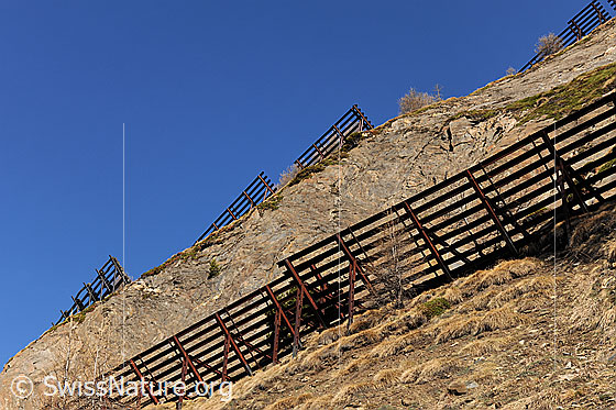 Foto: Lawinenschutz (Stützverbauung) in steilem Hang mit Felspartien.