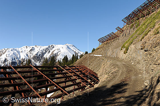 Foto: Bergstrasse entlang von Lawinenschutzbauten.