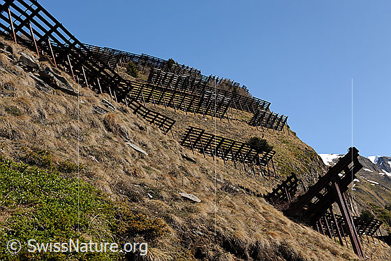 Foto: Lawinenschutzbauten an Berghang (Stützverbauungen).