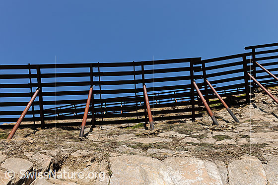 Foto: Lawinenverbauung. Ansicht von unten.