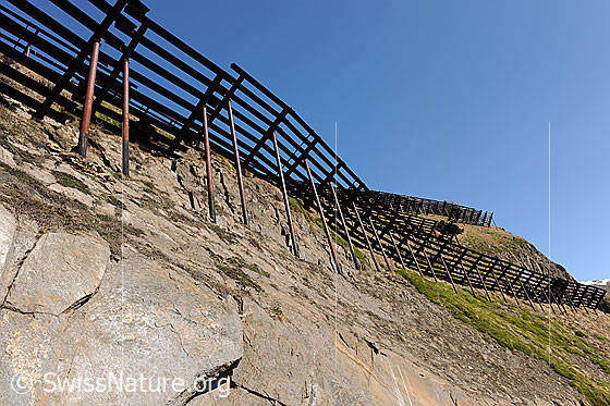Foto: Naturgefahr Lawinen.
Hier wurden Lawinenverbauungen (Stützverbauungen) errichtet.