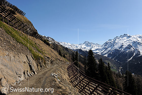 Foto: Lawinenverbauungen beidseits einer Bergstrasse (Wanderweg).