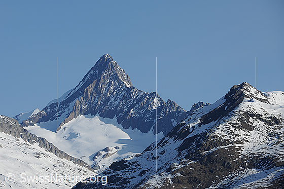 Foto: Finsteraarhorn von Alpe Fride.