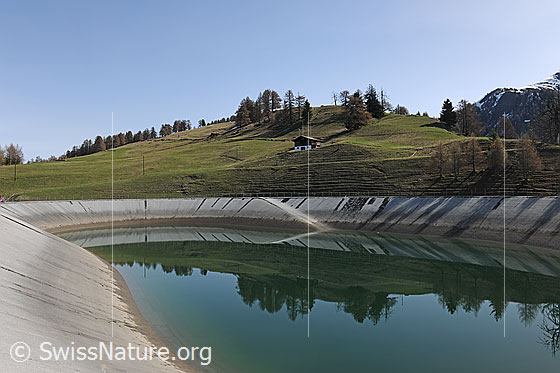 Foto: Ausgleichsbecken mit Spiegelung der Landschaft im ruhigen Wasser.