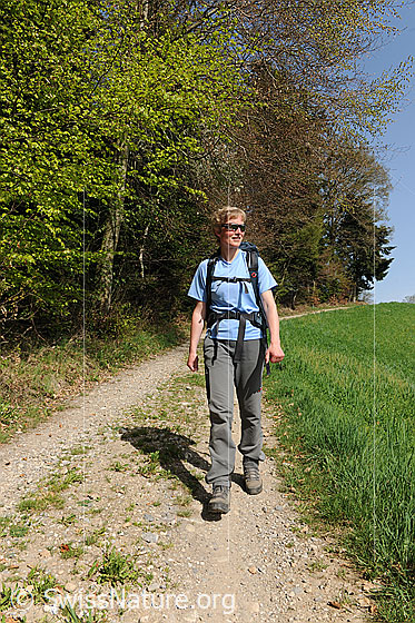 Foto: Wanderin am Waldrand unterwegs. Der Wanderweg ist breit und führt durch frühlingshafte Umgebung.