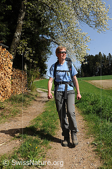 Foto: Wandern im Frühjahr. Eine Wanderin ist in der grünen Emmentaler Landschaft entlang eines Waldrands mit blühendem Baum unterwegs.