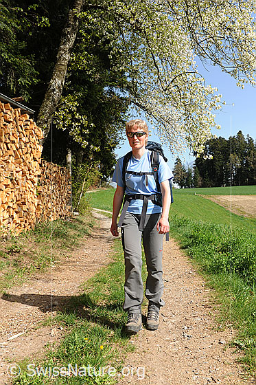 Foto: Wanderin unter blühendem Baum am Waldrand unterwegs. Der Wanderweg führt durch die Emmentaler Frühlingslandschaft.
