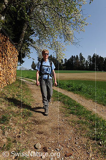 Foto: Wanderin unterwegs in Frühlingslandschaft mit blühendem Baum und einem Holzstapel am Waldrand.
