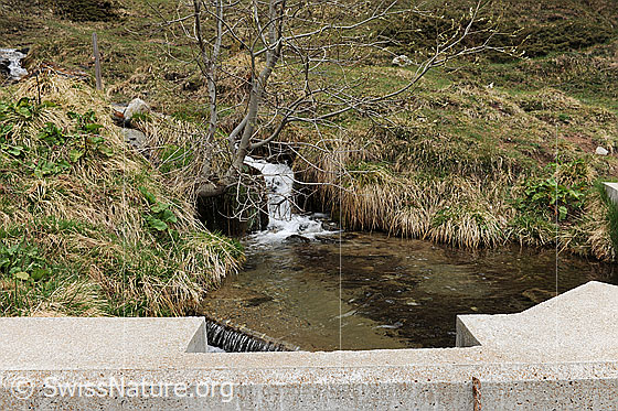 Foto: Kleine Wasserfassung mit Überlauf (Wasserkraft - erneuerbare Energie).