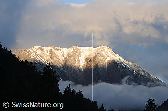 Foto: Morgenstimmung mit Wolken am Breithorn und Nebel über dem Binntal. Auf den Gipfel fällt Morgenlicht, während der Wald im Vordergrund noch im Schatten liegt.