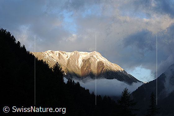Foto: Morgenstimmung am Breithorn mit Nebelschwaden und Wolkenfetzen. Auf den Gipfel fällt Morgenlicht, während der Wald im Vordergrund noch im Schatten liegt.