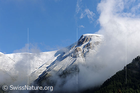 Foto: Nebelstimmung am Grossen Fülhorn. Der Berg ist frisch verschneit und die Nebelschwaden steigen aus dem Tal hoch. Der Wald im Vordergrund ist grün und der Himmel über der klaren Berglandschaft ist blau.