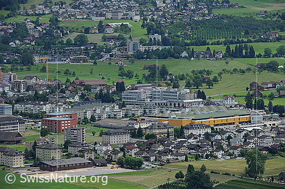 Foto: Wohngebiet im Siedlungsraum Schwyz.