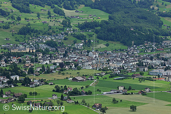 Foto: Schwyz (Kollegium, Kirche und Wohngebiet) umgeben von grüner Landschaft.