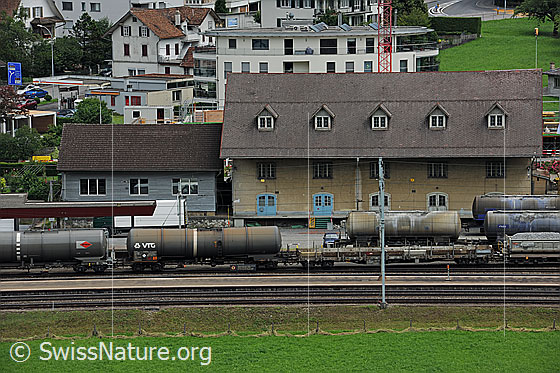 Foto: Infrastruktur: Güterzug. 
Die Bahnwagen stehen am Bahnhof bereit.