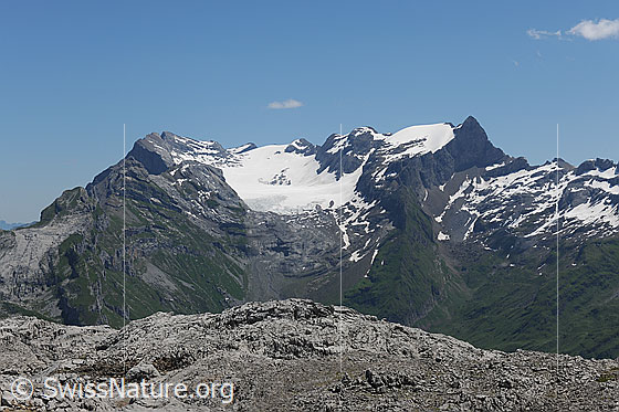 Foto: Glärnisch und Glärnischfirn von WSW.
Gipfel im Bergmassiv: Ruchen, Vrenelisgärtli und Bächistock.