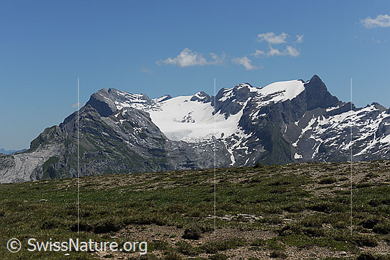 Foto: Glärnisch von WSW (Silberen).
Gipfel im Glärnischmassiv: Ruchen, Vrenelisgärtli und Bächistock
Gletscher: Glärnischfirn