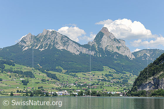 Foto: Lauerzersee mit Mythen (Kleiner Mythen und Grosser Myten). Darüber sind Quellwolken am blauen Himmel zu sehen. Die Landschaft ist grün und besiedelt (Schwyz).
