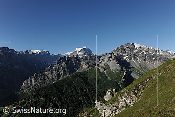 Foto: Bifertenstock, Tödi und Gemsfairenstock mit grünen Berghängen im Vordergrund.