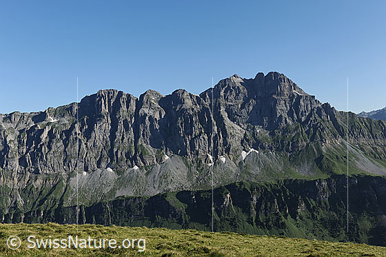 Foto: Schijen und Ortstock.